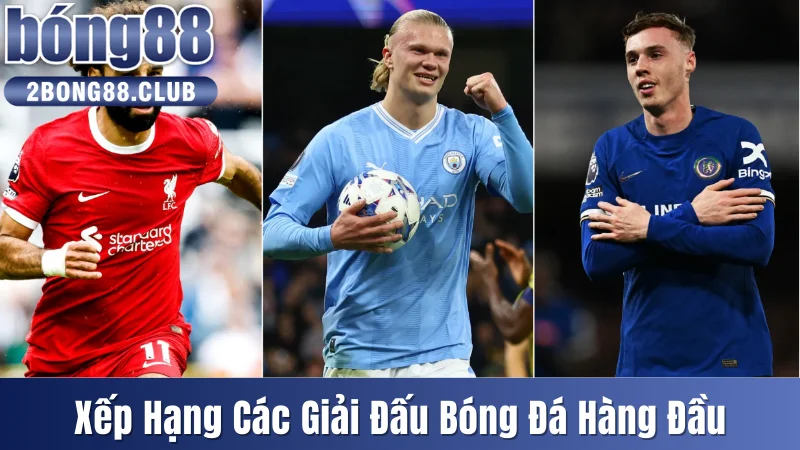 Các giải đấu bóng đá hàng đầu