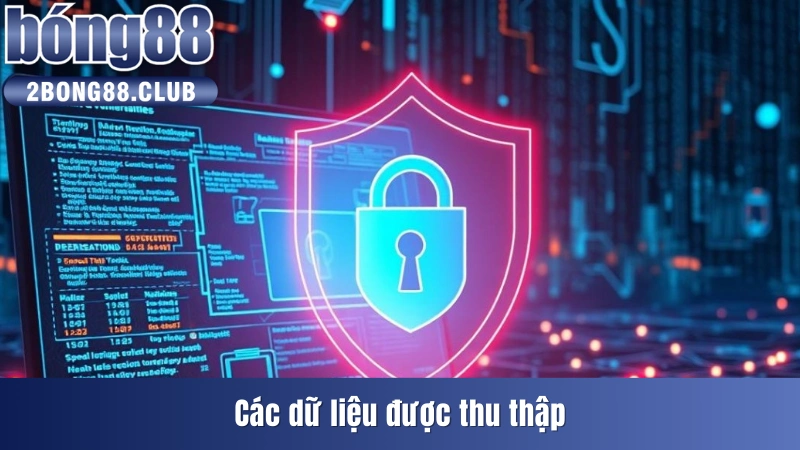 Dữ liệu được thu thập trong chính sách bảo mật