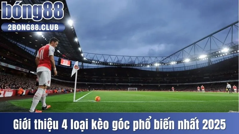 Kèo Phạt Góc - Bí Quyết Soi Kèo Bất Bại Nên Thử Ngay 3 Giới thiệu 4 loại kèo góc phổ biến nhất 2025