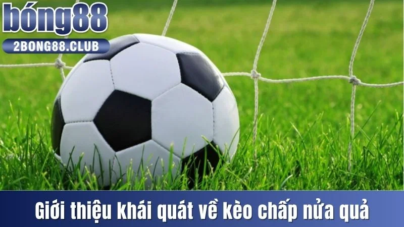 Kèo Chấp Nửa Trái Là Gì? Cách Thức Để Chơi kèo 0.5 Hiệu Quả 2 Giới thiệu khái quát về kèo chấp nửa quả