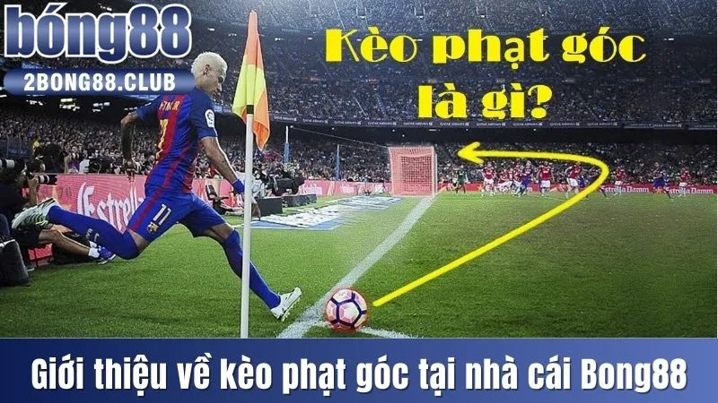 Kèo Phạt Góc - Bí Quyết Soi Kèo Bất Bại Nên Thử Ngay 2 Giới thiệu về kèo phạt góc tại nhà cái Bong88