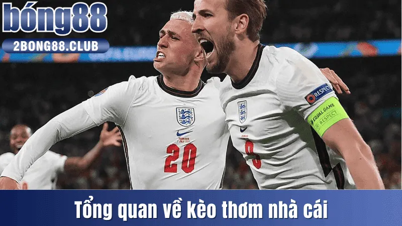 Khái quát về kèo thơm trong cá cược nhà cái