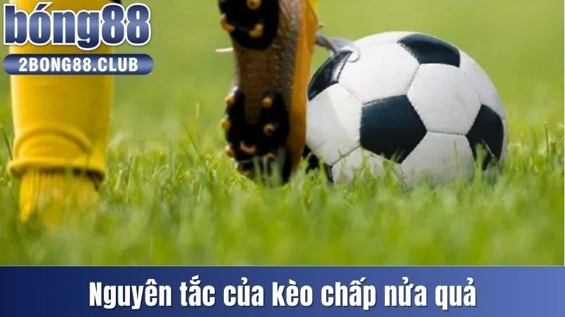 Kèo Chấp Nửa Trái Là Gì? Cách Thức Để Chơi kèo 0.5 Hiệu Quả 3 Nguyên tắc của kèo chấp nửa quả