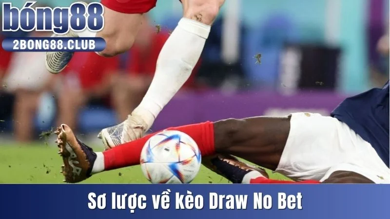 Kèo Draw No Bet - Giảm Nguy Cơ Thua Kèo Cho Nhà Đầu Tư 2 Sơ lược về kèo Draw No Bet
