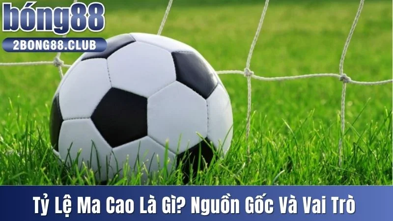 Tỷ lệ Ma Cao là gì
